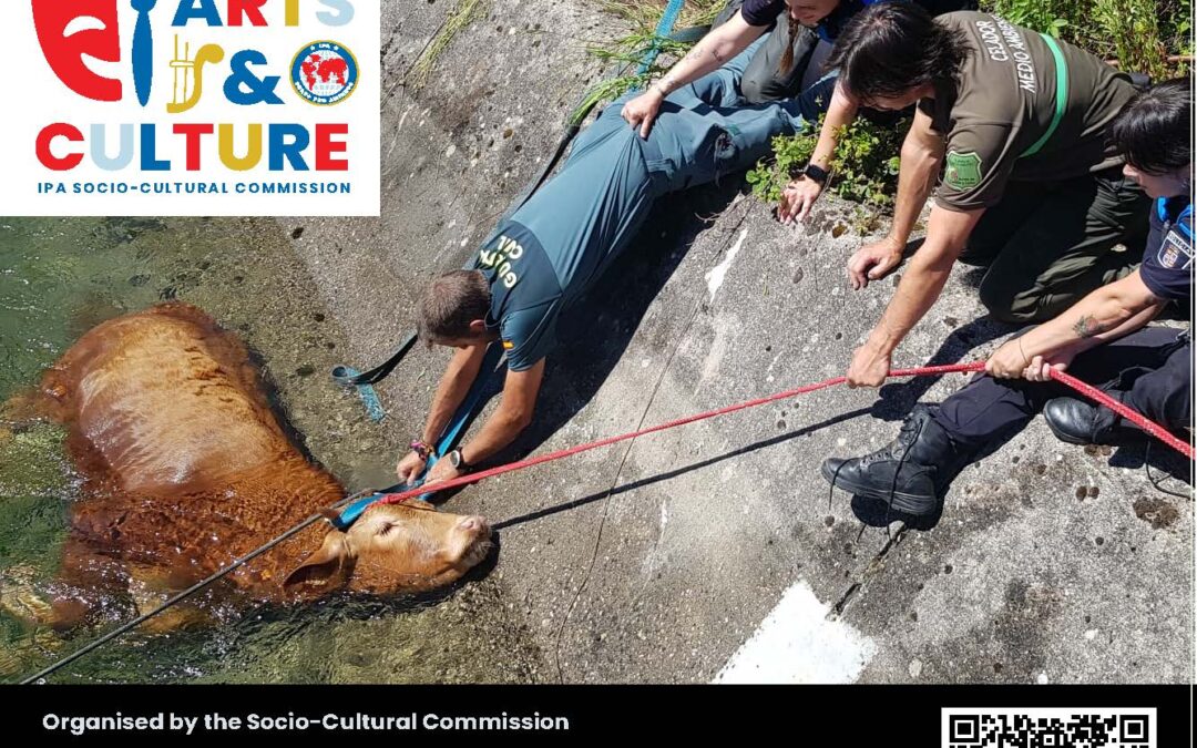 IPA INTERNACIONAL: Concurs Internacional de Fotografia IPA 2026